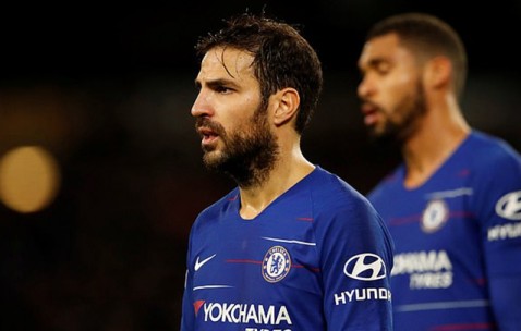 bbin宝盈app下载-关于澳大利亚联赛领头羊现两连败，球队状态遭质疑的信息