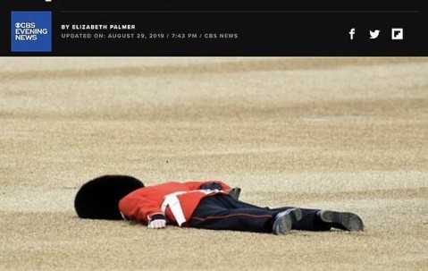 bbin娱乐-关于黄蜂后卫因伤报销赛季，球队急需新血液填补的信息